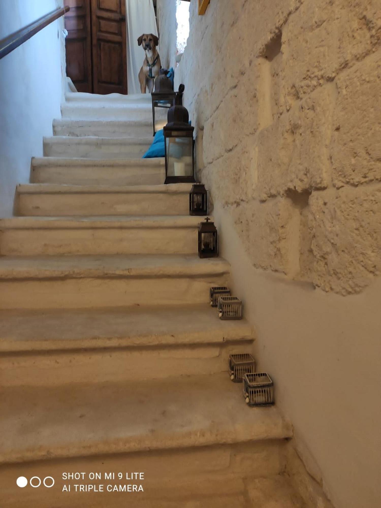Che Vista!! Ostuni ,Sulle Bianche Mura Con Vista Mozzafiato מראה חיצוני תמונה